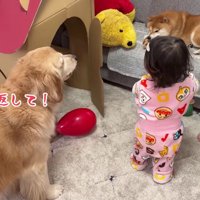 「返してあげて」