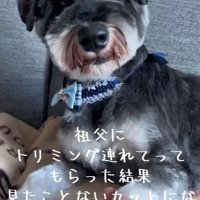 このカットはなに！？