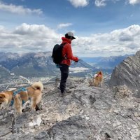 山頂でそれぞれ景色を楽しむ家族たち