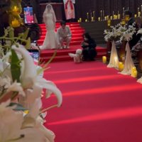 ミロちゃんがリングドッグに挑戦9