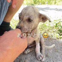 もう怖くないね