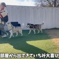 赤ちゃんを抱っこして歩くと…