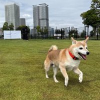 お外で元気いっぱいのおまめちゃん