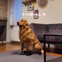 夏までには慣れようね♪