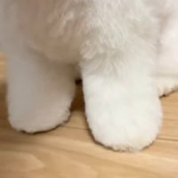 綿が詰まってる