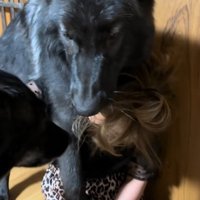 子犬とは思えぬ大きさです！