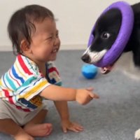 一緒に遊ぶヒマちゃんと赤ちゃん2