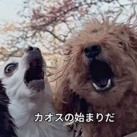 カオスの始まり