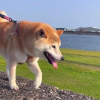 表情豊かな源五郎くん