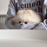 一緒にテレビ観賞中