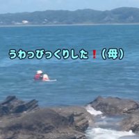 泳いで女性のところにやってきた犬
