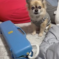 待ちきれない！