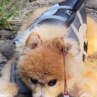 怒りん坊なところもカワイイ♡