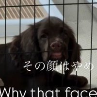 どうしてそんな顔に？