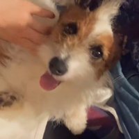 とっても幸せそう♡