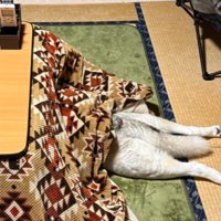 「アジの開き」のよう…