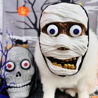 もはや誰なのか分からない