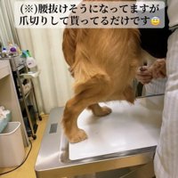 腰が抜けちゃいそう