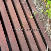 木の板