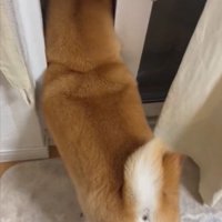 あさむら