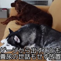 ネグレクトされていた