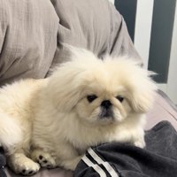 寝癖でパヤパヤに…♡