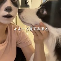 じーっ…