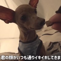 おやつタイム♪