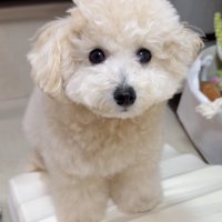 お転婆むんちゃん