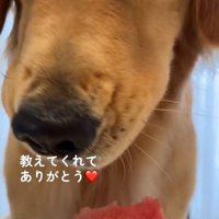 目を細める暖くん