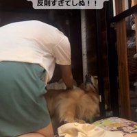 上目遣いのならちゃん