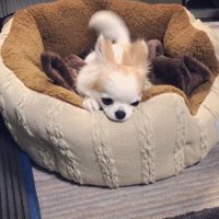 「どうしようかな」と考え中