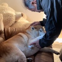 目を細めるるるちゃん