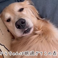 「もう限界…」