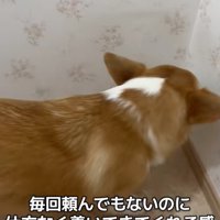 背中から漂う仕方ない感