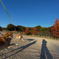 バトルが始まりそうな雰囲気