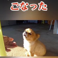 「チューしようかと思った」