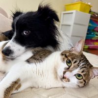 いつでも