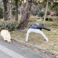 真逆に引っ張られてる！