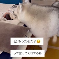 タオルをかけてあげることも…