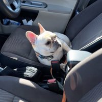 人間味あふれる