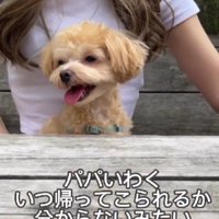 いつ帰ってくるかわからない…