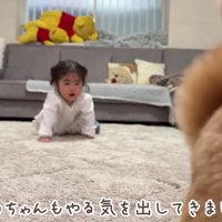 ルールを思い出したほのちゃん