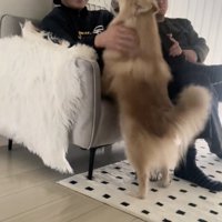 可愛さもビッグになりました