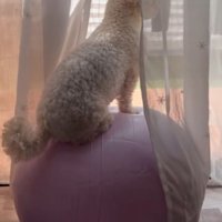 余裕を感じる後ろ姿