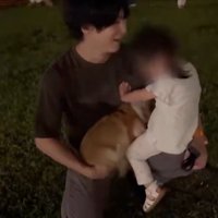 犬見知り