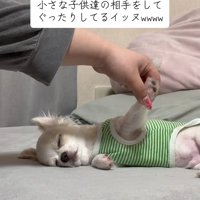 手を持ち上げる飼い主さん