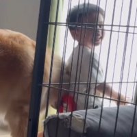 おもちゃの車に乗りながら、笑顔でカメラにふり返る男の子