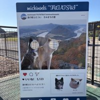 顔ハメパネル