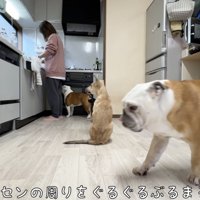 朝ごはんの予感